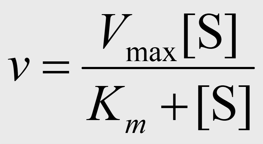michaelis menten equation